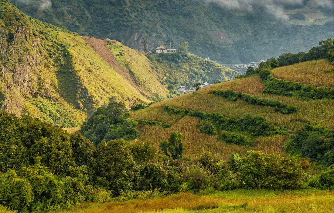 Scenic Drive from Bhalukpong to Dirang